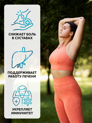 SOLAB / Куркумин + пиперин, 60 капсул