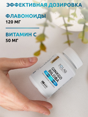 SOLAB / Гинкго Билоба + Витамин С, 60 капсул