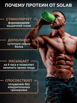 SOLAB / Протеин Whey Protein  Вкус Шоколадный пирог, 450г, 15 порций