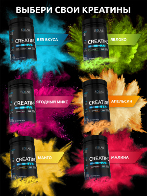 SOLAB / Креатин моногидрат. Вкус Лесные Ягоды, 400 гр. 60 порций.