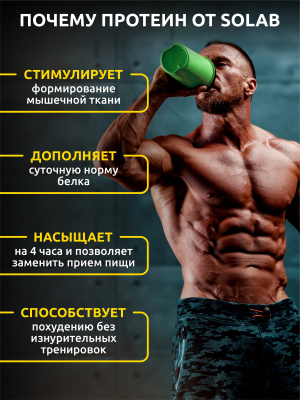 SOLAB / Протеин Whey Protein Вкус Пломбир  450гр, 15 порций