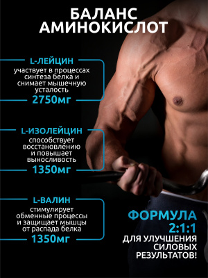 SOLAB / Набор 3х, BCAA 2:1:1 Вкусы: Бабл гам, Малина, Фруктовый пунш, 180 гр