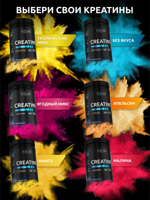 SOLAB / Креатин моногидрат. Вкус Яблоко, 400 гр. 60 порций