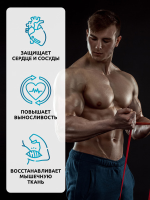 SOLAB / Креатин PRO, 240 капсул